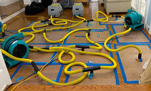 Professional Water Extraction technician working in Santa Cruz, NM